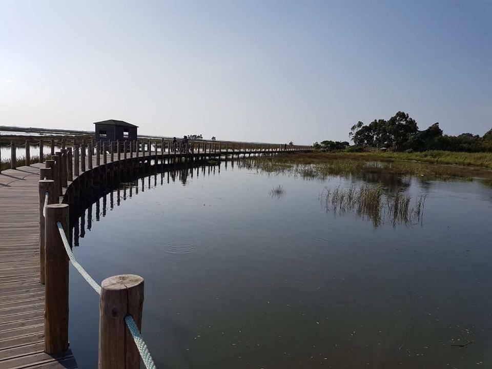 阿威罗Casa Da Ribeira公寓 外观 照片