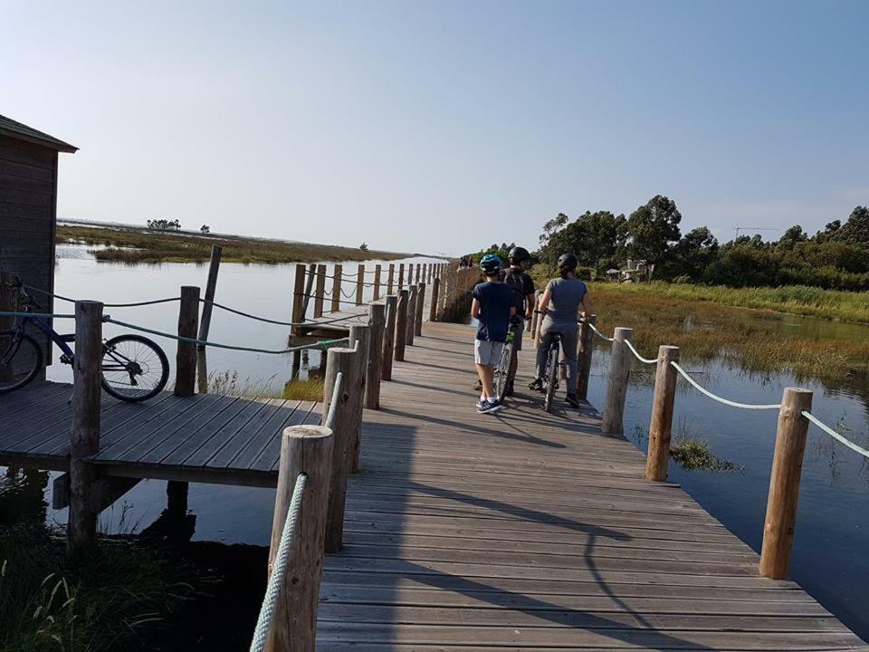 阿威罗Casa Da Ribeira公寓 外观 照片
